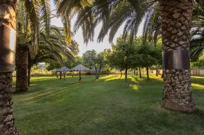 Jardín al aire libre en Hostal - Bungalows Camping Cáceres
