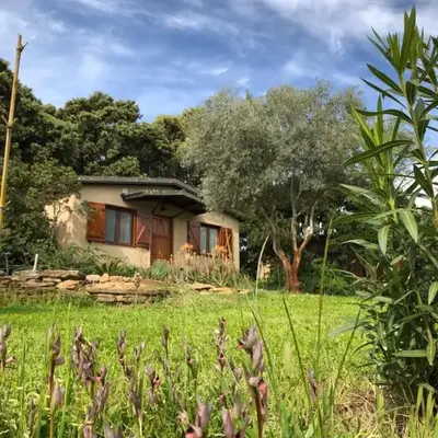 La Cerca Del Alcornoque
