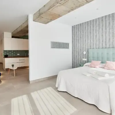 9 NIDOS Céntrica Suites - Nuevo